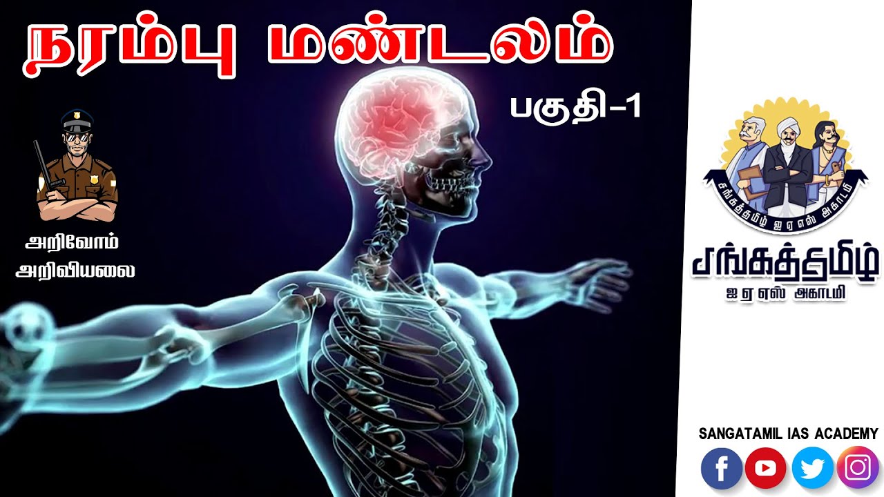 TNUSRB | SCIENCE | நரம்பு மண்டலம் | Nervous system in Tamil Part 1