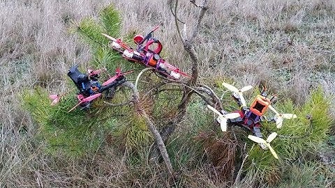 Winter is comming, Floss 2 & Realacc Lion 215 "Red Fury"