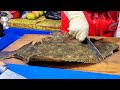 Korea Street Food HALIBUT SASHIMI flounder Pohang Jukdo Seafood Market 06 광어 회 손질 포항 죽도시장 해수네