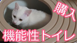 【買ってみた】上から猫トイレ買ってみた。