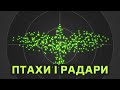 Як радари допомагають відстежувати птахів? [MinuteEarth]