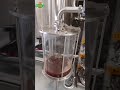 Beer brewing vorlauf in lauter tun and wort grant #beer #brewery #usa #uk #canada #australia