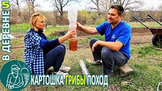 Сажаем картофель, собираем и готовим грибы-сморчки 🏡 Жизнь Гордеевых в деревне - Влог 5