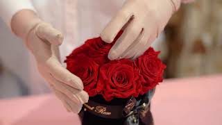 Le Diamant Rose Making Of Box