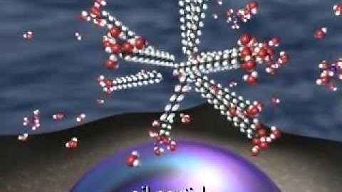 5.1.6 (1) - 2 - Surfactant molecules (Engl)