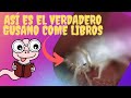 ¿Pececito de plata, el verdadero gusano come libros?