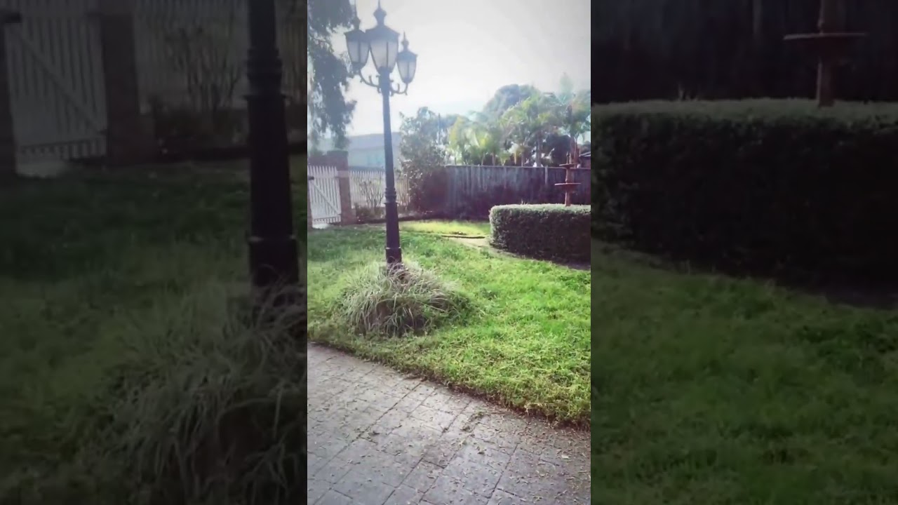 Your Lawn, Our Passion! Keep your lawn in top shape all year round with Jim’s Mowing