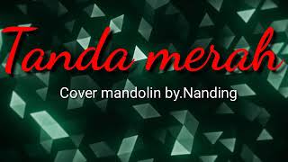 Tanda merah - cover by.Nanding Mandolin