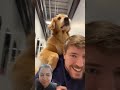 Real animal Bond#Heart touching #smart dog# Animal #viral video #youtubeshorts v#