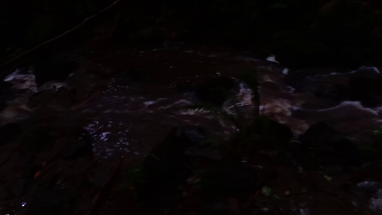 LA CASCADA DEL NONAYA: SUBIENDO A LA ESPINA (SALAS, ASTURIAS)