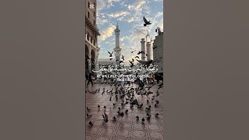 سورة الأنفال {الآية 37} بصوت الشيخ عبد الرحمن الزواوي ❤️❤️