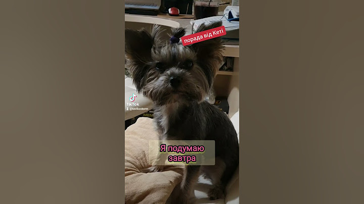 дивіться до кінця