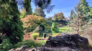 Vancouver, BC. Scenes From The Memory. Sep 2025.