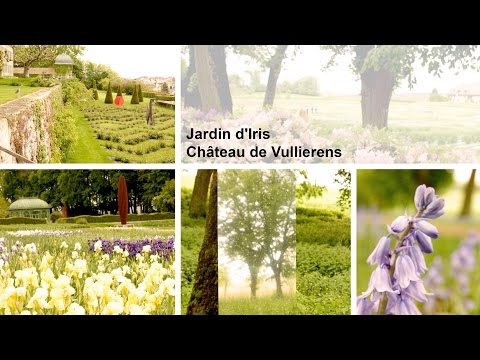 Video: Irisgarten