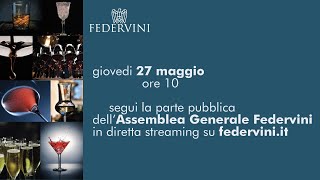 Evento pubblico dell'Assemblea Generale Federvini