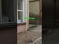 Рогатин 
