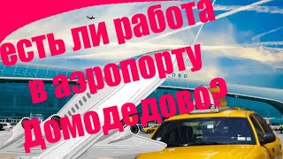 Про работу такси в аэропорту Домодедово \ таксую на ceed