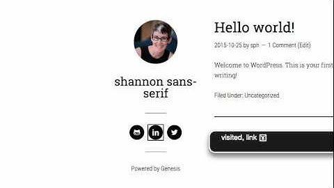 Simple Social Icons - Accessibility Fixes