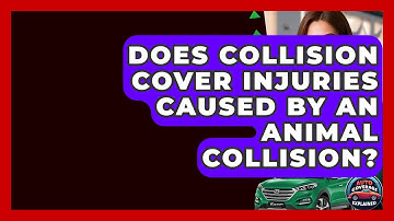 Does Collision Cover Injuries Caused By An Animal Collision? - Auto Coverage Explained