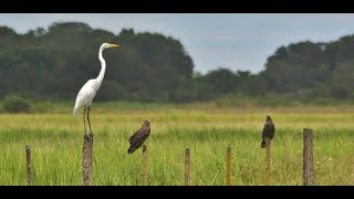 El Impenetrable, La Tierra Olvidada - Chaco Argentina