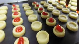 SOFT BISCUIT MANUFACTURING LINE : BHAGWANI BAKERY MACHINES PVT LTD:   09377967016 screenshot 4