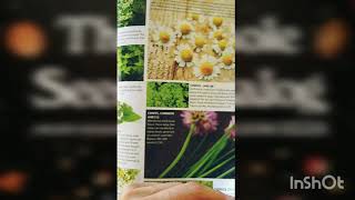 A look into Baker Creek's 2019 Whole Seed Catalog "Herbs" section