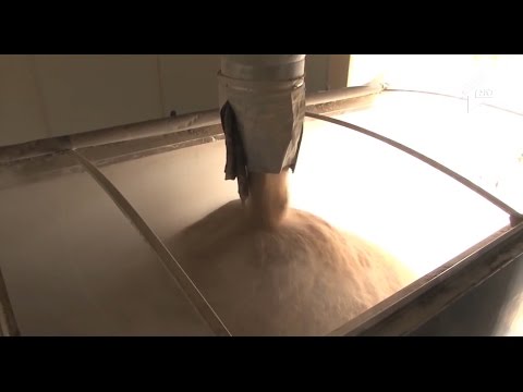 ფერმა  - ქართული ფქვილის ექსპორტი ერაყსა და ტუნისში