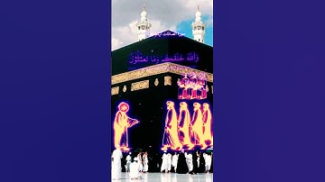 احترم القرآن الكريم ♥️ #quranismylife #قران_كريم #قرآن_كريم #قرآن