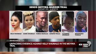 Senzo Meyiwa murder trial: recap of previous evidence (Segment 3)