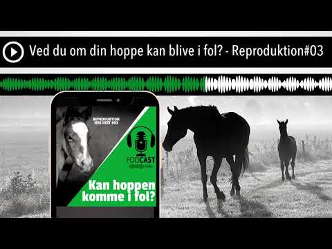 Video: Hvorfor Du Bør Hoppe Over Den Suave Og Prøve Tilpassede Hårpleieprodukter