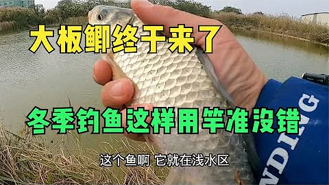 6 3米長竿釣鯽魚沒口，一招變化後迎來驚喜，冬季這樣用竿准沒錯 - 天天要聞