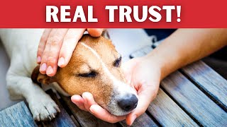 10 Signs Your DOG Really TRUSTS YOU