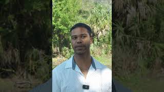 This School Helped Me Help People