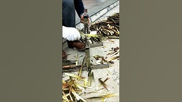 Bamboo shoot processing: using a unique peeling machine!