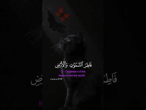 إ ن ه م ن ي ت ق و ف إ ن   سورة   