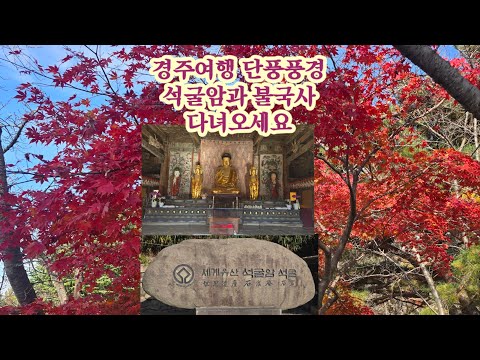 경주여행 단풍풍경 석굴암과 불국사 다녀오세요 1번갑돌이 251120.