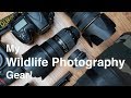 What's in my Wildlife Photography Camera bag