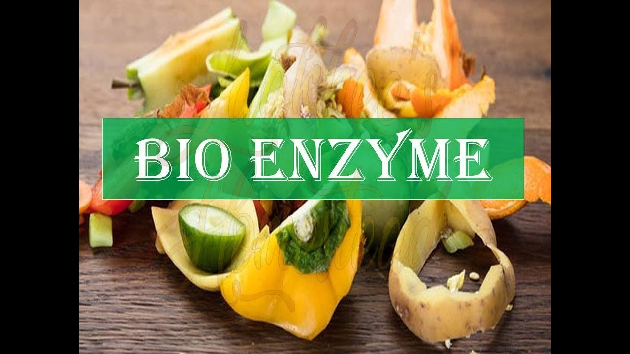 Bio Enzyme YouTube