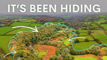 The 35 Year Rewilding Project You