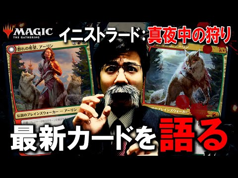 Foil モーニングタイド 苦花/Bitterblossom 英語版4枚セット Foil モーニングタイド 苦花/Bitterblossom 英語版4枚セット MTG