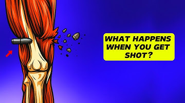 What REALLY Happens Inside Your Body When a Bullet Hits You