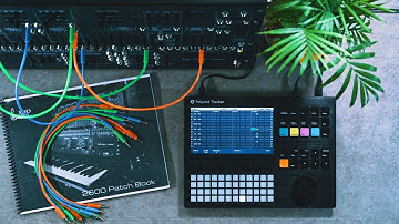 Korg ARP 2600 M Sequenced and Accompanied by the Polyend Tracker