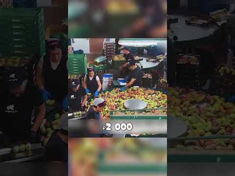 ДАГЕСТАНЕЦ стал МИЛЛИОНЕРОМ в Мексике😱🌵👨