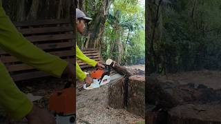 test new chain