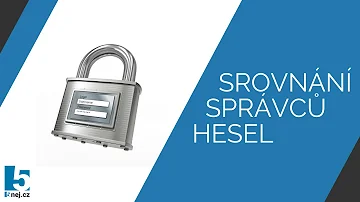 Kdo je správcem hesel?