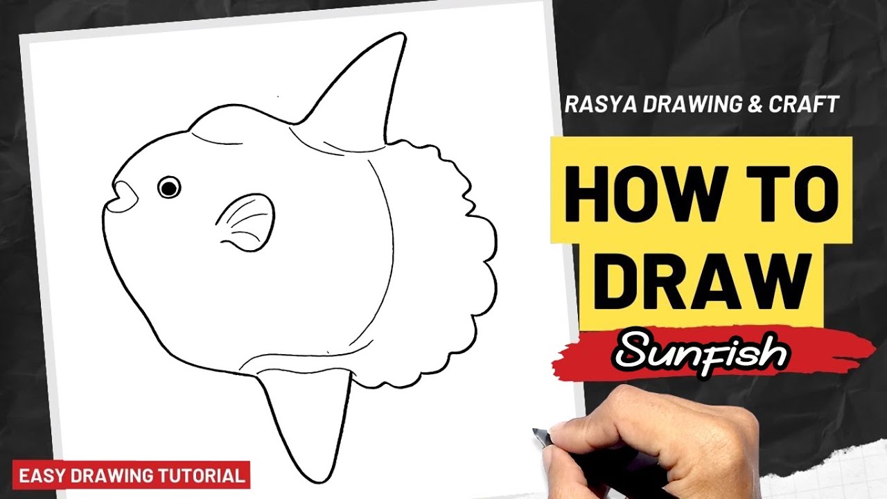 How to draw Sunfish 