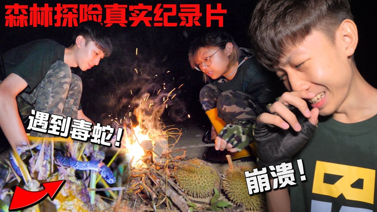 超惊险！进入森林探险一天！竟然遇上毒蛇！【森林冒险纪录片】