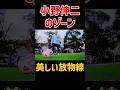 “天才”小野伸二のテクニック #shorts #小野伸二 #サッカー選手 #サッカー日本代表