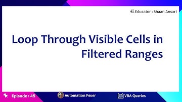Loop Through Visible Cells in Filtered Ranges | Advanced VBA in Hindi