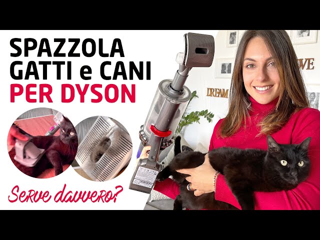 DYSON SPAZZOLA per GATTI e CANI 🐈 🐕 - funziona? 